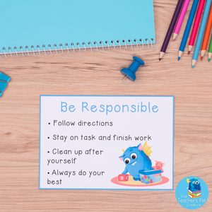 Respectful, Responsible, Safe and Proactive Posters